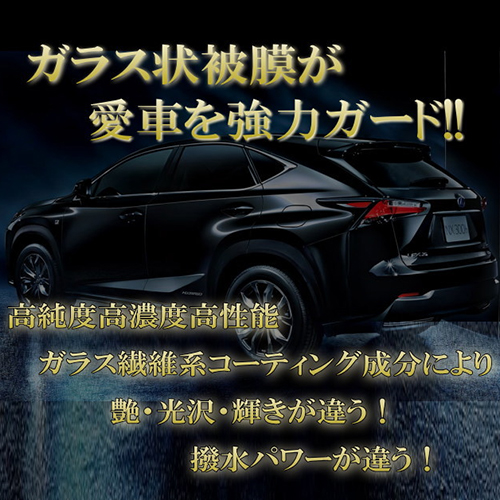 イージーグラスコート